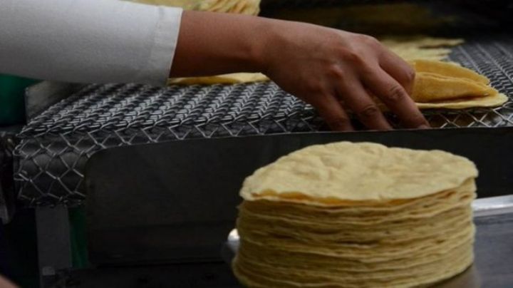 Hablando en serio: ¿Ucrania se quedará sin “tortillas”? Esto hacía Maseca en ese país