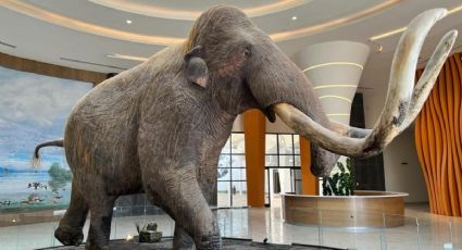 Aeropuerto de Santa Lucía: así será el "Museo del Mamut"