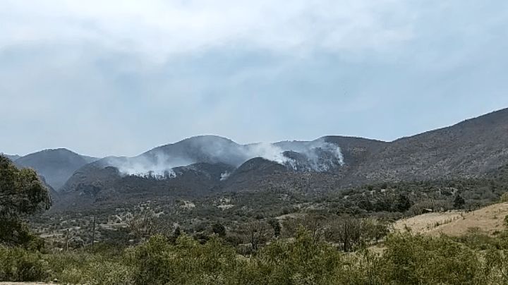 Pobladores y ejidatarios  agradecen el apoyo de ciudadanos y voluntarios para apagar los incendios forestales.