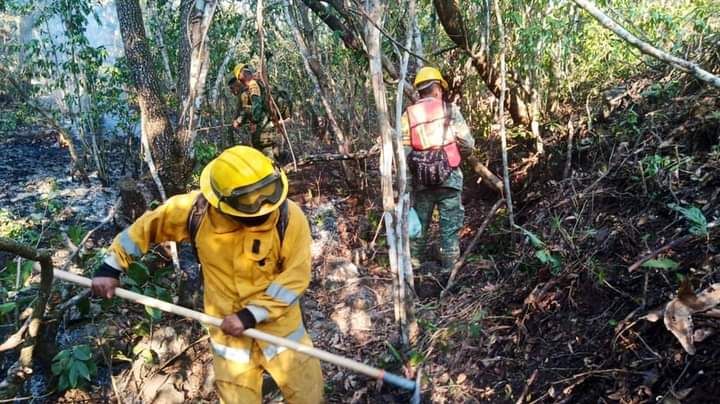 Continúan en Guerrero 12 incendios forestales activos