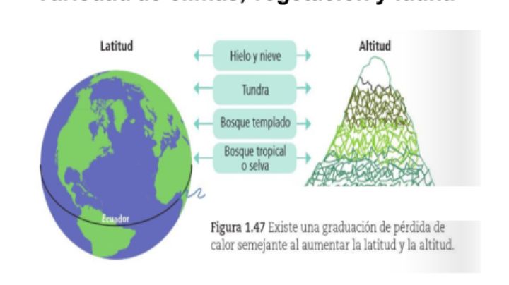 Aprendizajes esperados SECUNDARIA SEMANA 1: lista por materia y día | Aprende en Casa