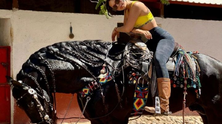 Ángela Aguilar: ¿Cuánto cuesta Troyano, el caballo pura sangre de la cantante?