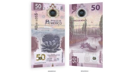 Billete de 50 pesos vale hasta ¡medio millón! si tiene estas características