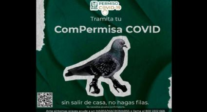 ComPermisa COVID: campaña del IMSS genera polémica en redes sociales