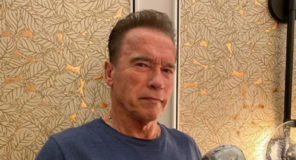 Arnold Schwarzenegger: infidelidad con su ama de llaves e "hijo secreto"