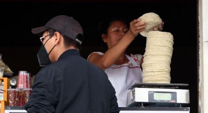 ¿Adiós al taquito con sal? Precio del kilo de tortilla sube a 24 pesos en Tampico