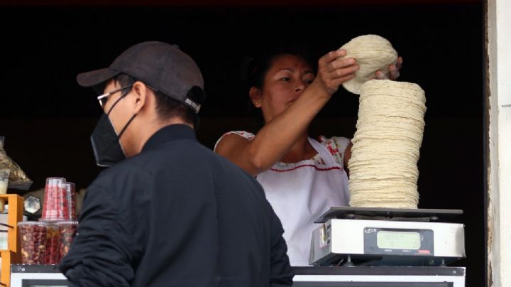 ¿Adiós al taquito con sal? Precio del kilo de tortilla sube a 24 pesos en Tampico