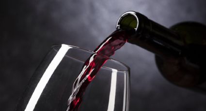 Vino tinto: ¿cuáles son los mejores de México y cómo se toman?