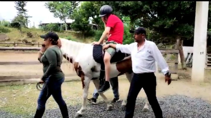 Equinoterapia: beneficios de la terapia con caballos y la sanación