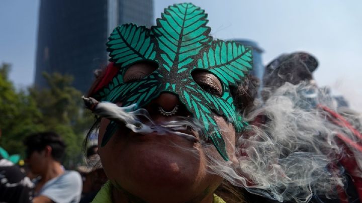 De los creadores del Metaverso, llega el 'Motaverso': Un espacio virtual sobre mariguana