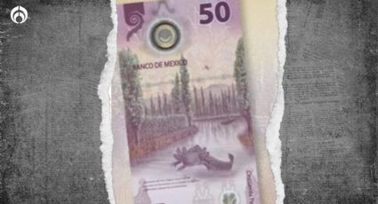 ¿Por qué este billete de 50 pesos se vende en 7 millones?