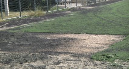 ¡Se roban hasta el pasto del estadio Maracaná!