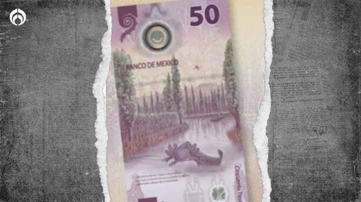 ¿Por qué este billete de 50 pesos se vende en 7 millones?