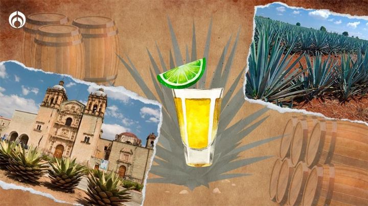 Mezcal: La 'moda mezcalera' llevó esta bebida a 8 estados en una década