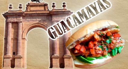 Las Guacamayas: el curioso origen del nombre de esta delicia guanajuatense