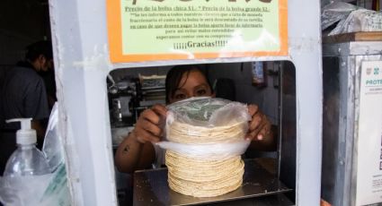 Precio de la tortilla subirá en febrero cuando acabe el plan contra la inflación, prevén tortilleros