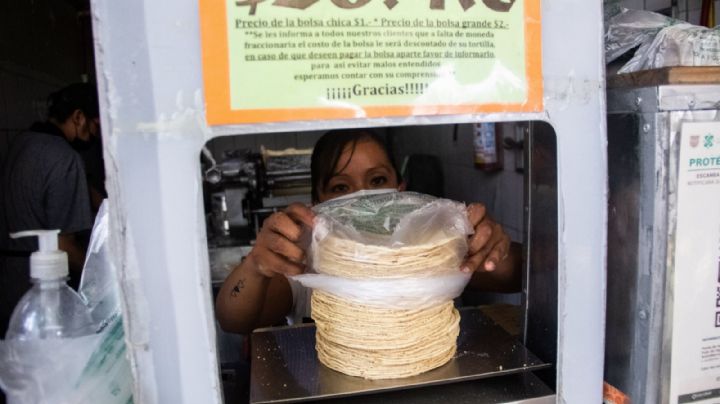 Precio de la tortilla subirá en febrero cuando acabe el plan contra la inflación, prevén tortilleros