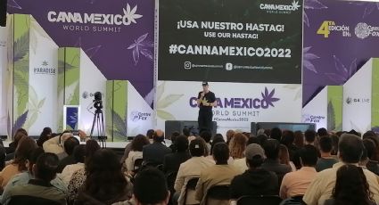 "el cannabis es una maravillosa planta que nos trae muchas cosas buenas a todo mundo" dice Fox