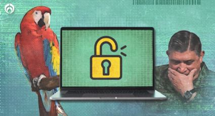 Guacamaya Leaks: 2 de cada 3 mexicanos ni se enteraron del hackeo a la Sedena