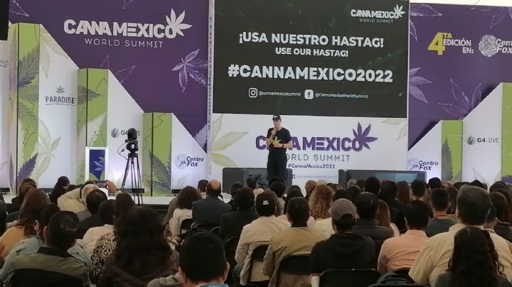 "el cannabis es una maravillosa planta que nos trae muchas cosas buenas a todo mundo" dice Fox