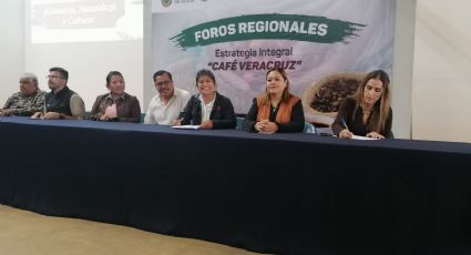 ¿Y el campo apá? Municipos no apoyan el cultivo de la tierra