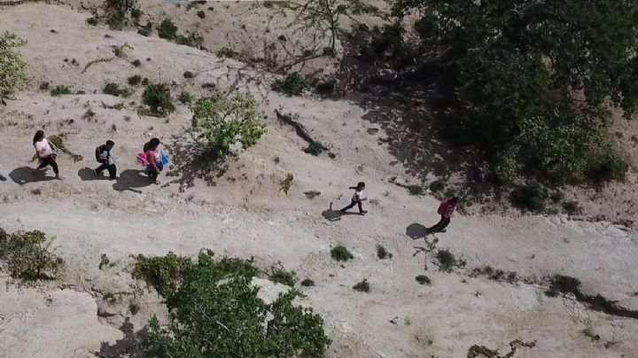 ¿Caminito de la escuela? La travesía de 16 km a pie para 3 niños que solo buscan superarse