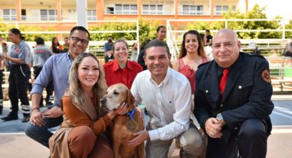 Héroes de cuatro patas: se jubilan Titán y Akela, perros rescatistas originarios de Guanajuato