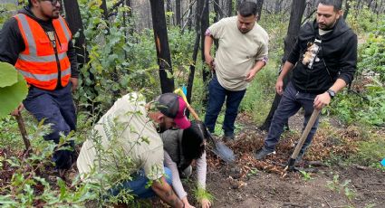 Reforestan Bosque Escuela de la UANL en la sierra de Iturbide NL