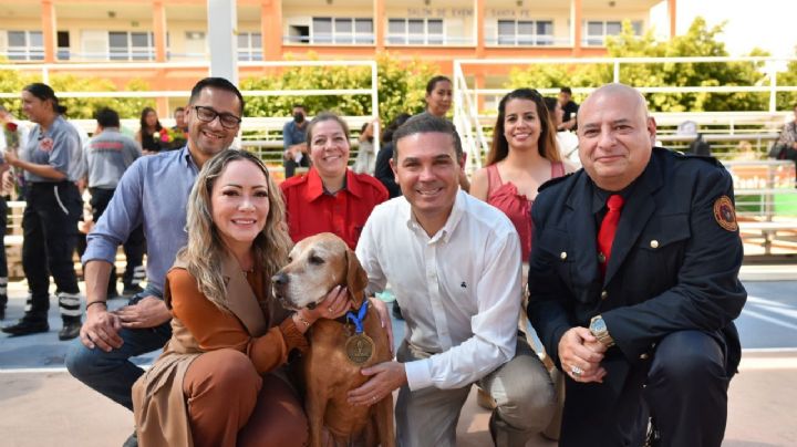 Héroes de cuatro patas: se jubilan Titán y Akela, perros rescatistas originarios de Guanajuato