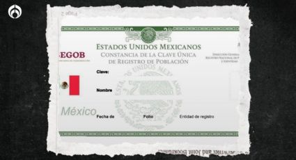 ¿Qué es la CURP certificada y cómo la obtengo?