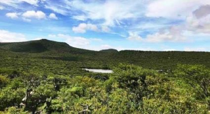 Peña Colorada cerca de obtener decreto de Área Natural Protegida, participa