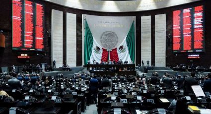 Hablando de la reforma electoral, ¿qué va a pasar con los diputados y senadores plurinominales?