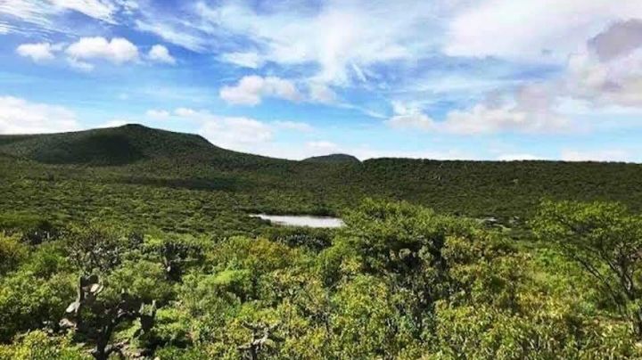 Peña Colorada cerca de obtener decreto de Área Natural Protegida, participa