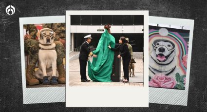 Quedó ‘perrona’: así luce la estatua de Frida, heroína del 19-S