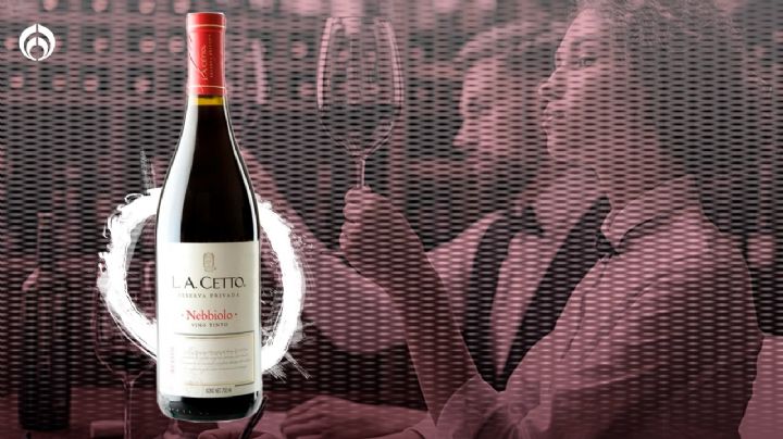 Vinos mexicanos: Estos son los 5 mejores, según un concurso de Francia