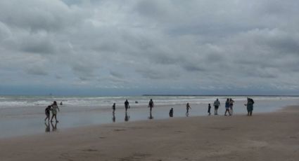 Playa Miramar está libre de Marea Roja