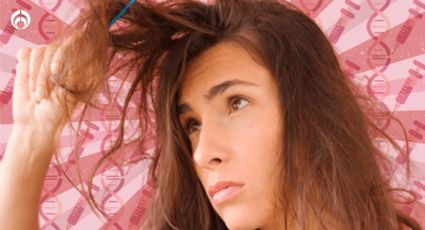 ¡Pelos rebeldes! ¿Sufres de cabello imposible de peinar? Puedes culpar a tus genes