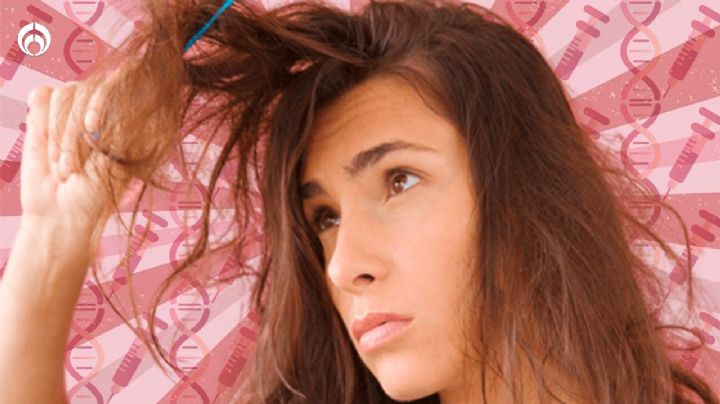 ¡Pelos rebeldes! ¿Sufres de cabello imposible de peinar? Puedes culpar a tus genes