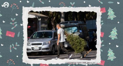 ¡No te adelantes! Esta es la FECHA EXACTA para poner el árbol de navidad