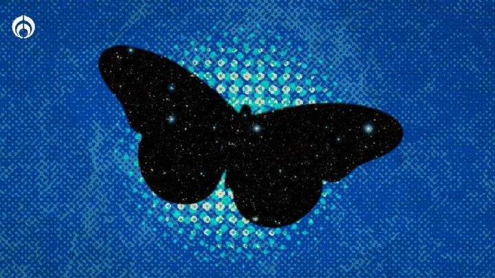 Una mariposa negra en tu casa... ¿es un mal augurio? Esto dice la ciencia