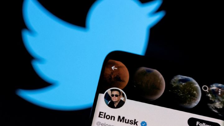 Musk cobrará la palomita azul: verificación en Twitter costará unos 160 pesos