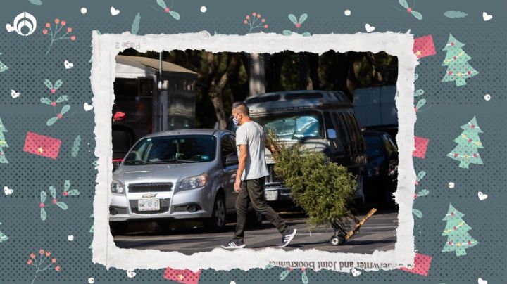 ¡No te adelantes! Esta es la FECHA EXACTA para poner el árbol de navidad