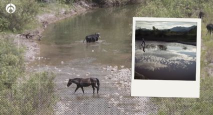 'Cloaca' de Conagua: ¡Ya sabemos el nombre del funcionario que AMLO señala de 'transa'!