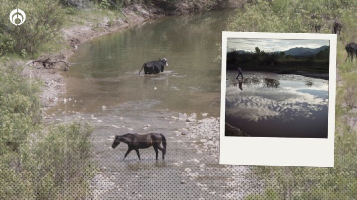 'Cloaca' de Conagua: ¡Ya sabemos el nombre del funcionario que AMLO señala de 'transa'!