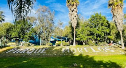 Parque Morelos: libre de gripe aviar