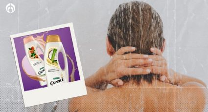 ¿Qué tan bueno es el shampoo Caprice? Esto dice Profeco