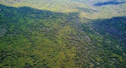 Peña Colorada, en etapas finales para ser considerada Área Natural Protegida