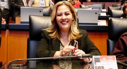 Lucía Meza pide evaluar el cumplimiento de la Alerta de Violencia de Género en los municipios