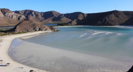 Playa Balandra: Bañistas ya pueden disfrutar del paradisíaco sitio, yates a la espera