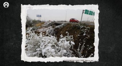 Frente Frío 9 pega 'duro' en México: ¿qué estados tendrán temperaturas bajo cero?